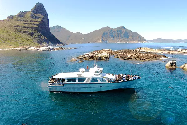 Hout Bay Seal Island Charters