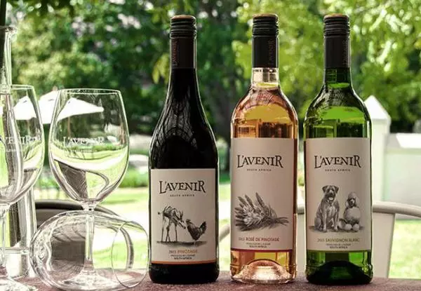 L’Avenir Wine Estate & Country Lodge