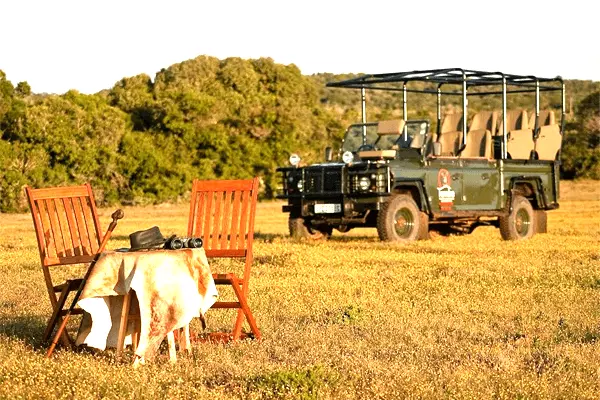Olive Park Lodge - Temba Private Game Reserve