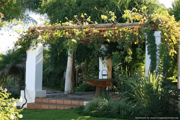 African Vineyard Guest House & Wellness Spa