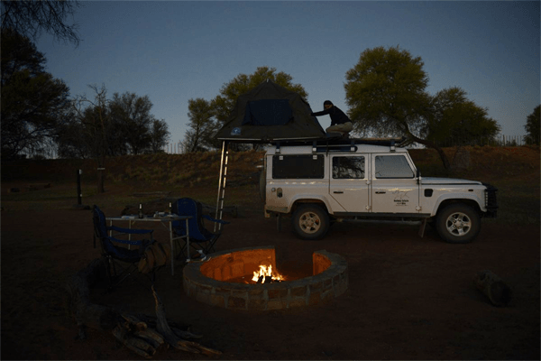 Bushpig Safaris
