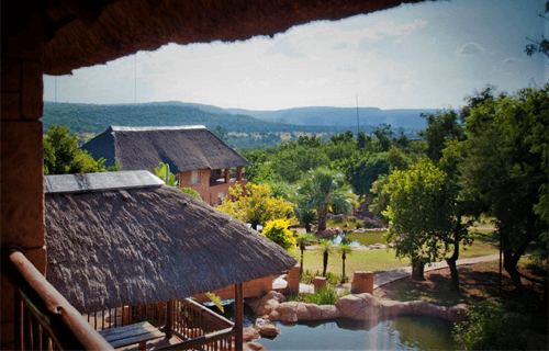 Zebra Country Lodge Cullinan Gauteng - 