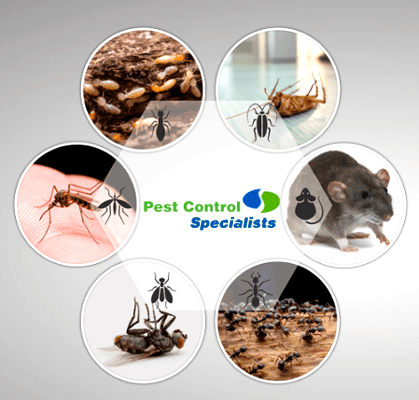 The Specialists - Cleaning & Pest Control